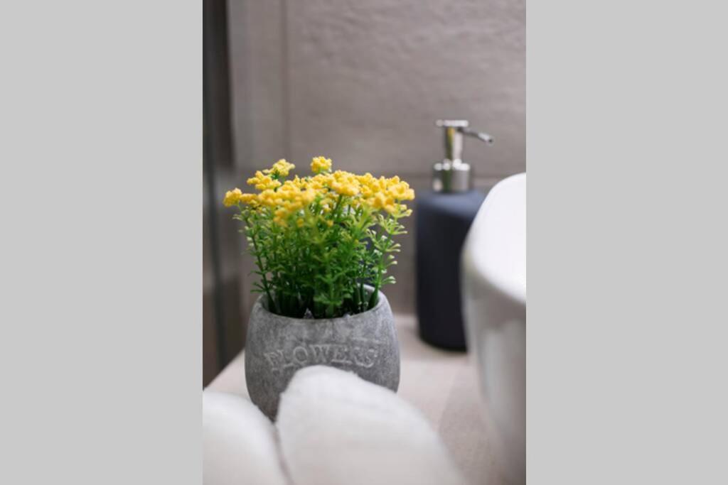 City Center Modern Renovated Apartment Athene Buitenkant foto